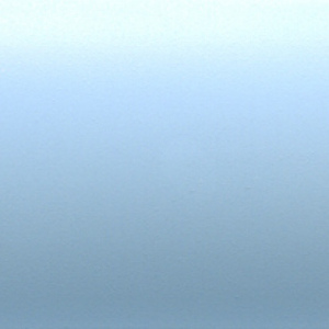 Blue Haze 25 PFV