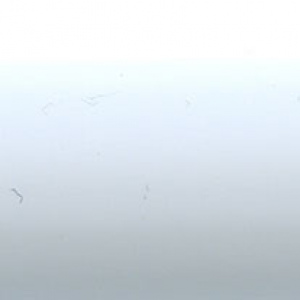 White 25 PFV